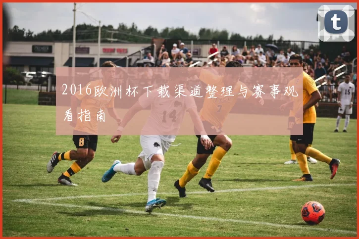 2016欧洲杯下载渠道整理与赛事观看指南