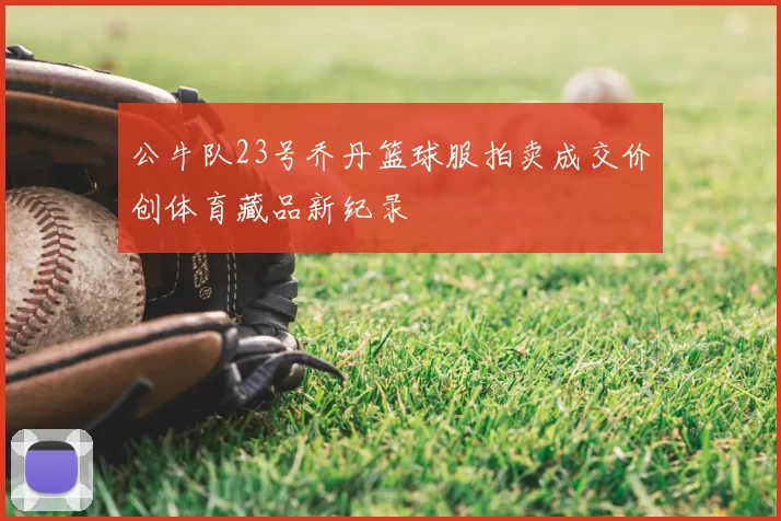 公牛队23号乔丹篮球服拍卖成交价创体育藏品新纪录