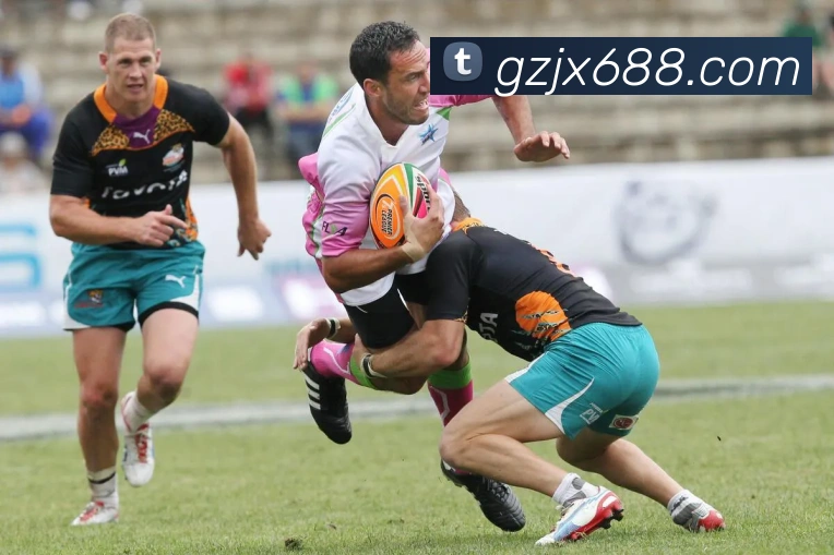 奖项证书